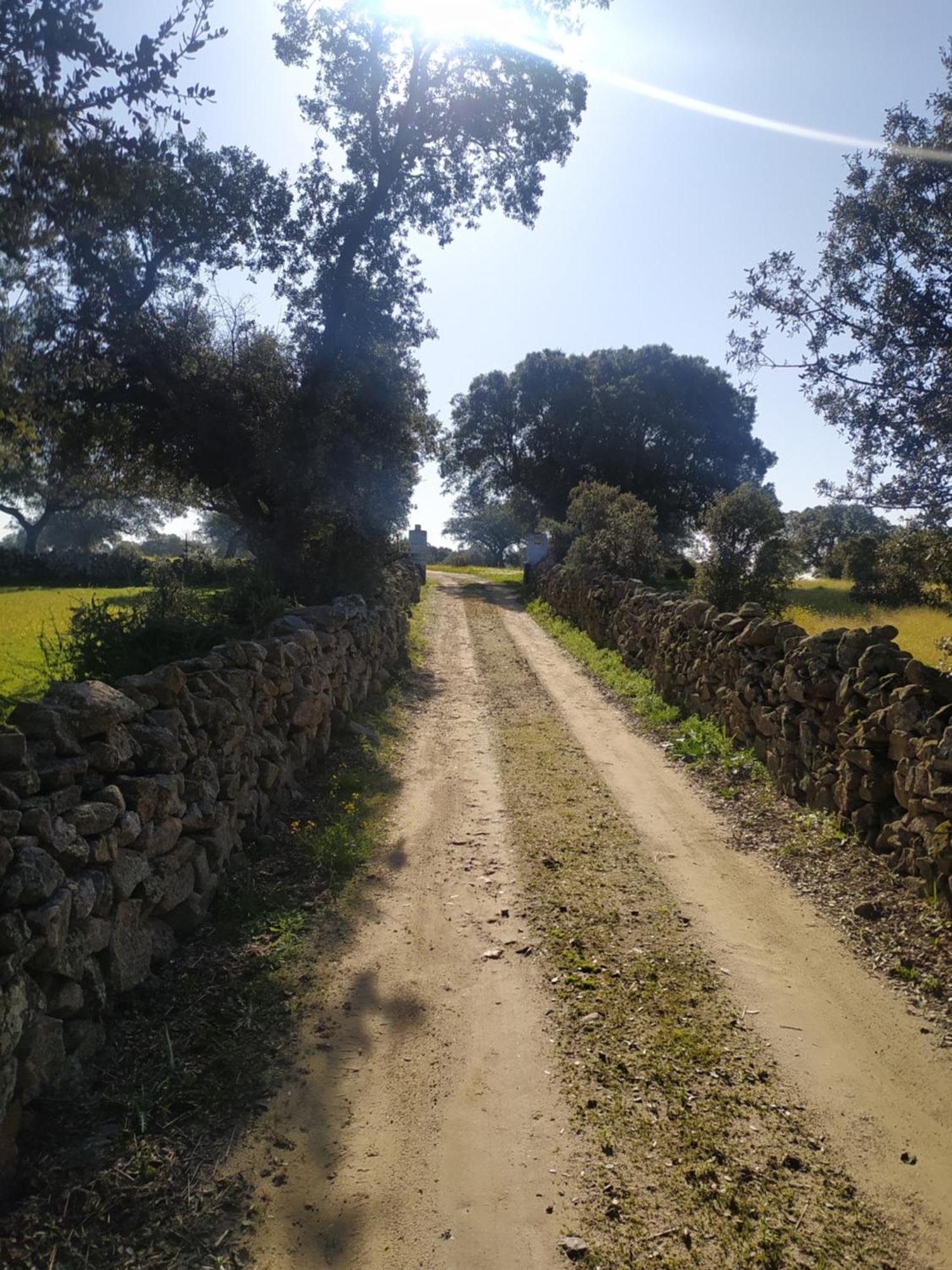 Finca Las Gamitas Almoharin المظهر الخارجي الصورة